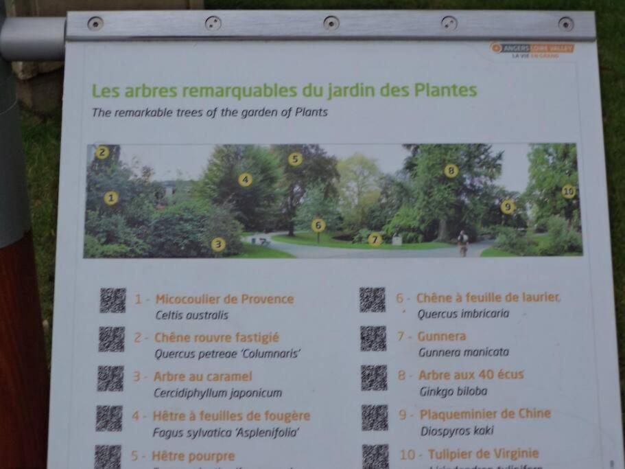 Le Grey-Jardin Des Plantes-Centre Des Congres Apartment Angers Exterior photo